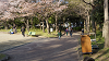 hana26 (338)_thumb.png
